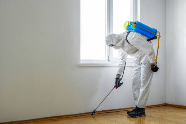 Best Residential Pest Control  in Beecher, IL