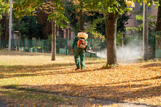 Best Pest Prevention Services  in Beecher, IL